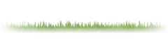 高尔夫草坪